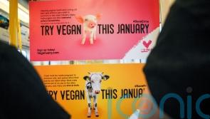 Is Veganuary even affordable this year? 7 cost-cutting tips