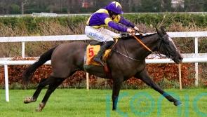 Late surge by Deep Cave provides minor consolation for De Bromhead team