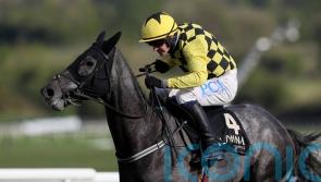 Gaillard Du Mesnil aiming to open his chase account in style