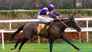 Deep Cave provides minor consolation for De Bromhead team