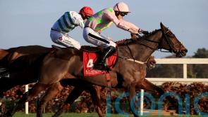 Sharjah bids for record-breaking fifth Matheson Hurdle title