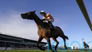 Willie Mullins continues Mares Hurdle run with Shewearsitwell