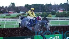 Gaillard Du Mesnil breaks chasing duck with Grade One glory