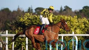State Man claims easy victory in Matheson Hurdle