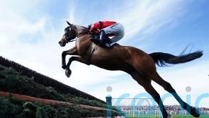 Scudamore: Still more to come from Ahoy Senor