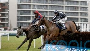 Honour has National ambition for Mandarin ace Grumpy Charley
