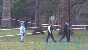 Man, 29, dies after being stabbed in heart in London park