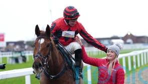 Midnight River takes starring role for Skelton team at Cheltenham