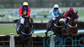 Scott tempted by Stayers’ Hurdle for versatile Dashel Drasher