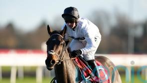 &lsquo;Almost certainly&rsquo; straight to Cheltenham now for Constitution Hill