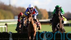 Fehily team lining up dual Sandown assault