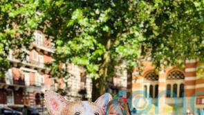 Queen &lsquo;touched&rsquo; by book on corgi dynasty after author&rsquo;s daughter wrote to palace