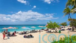 British man, 33, shot and killed at guest house in St James, Jamaica