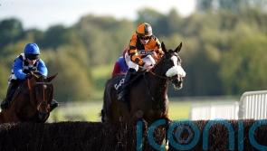 Cleeve date for Lord Accord before chasing return