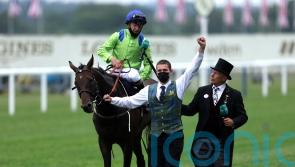 Subjectivist progressing towards possible return at Saudi Cup meeting