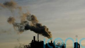Sunak ‘hasn’t a clue’ on climate, says scientist
