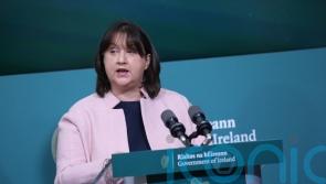 Cow dung incident ‘part of cumulative chipping away at democracy’, says TD