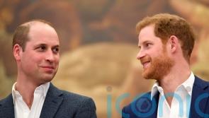 Harry was left with ‘scrapes and bruises’ after William’s alleged assault on him