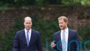 Harry left with ‘bruises’ after William’s alleged assault: How to deal with severe sibling conflict