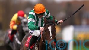 Speed test awaits rising stars in high-class Tolworth
