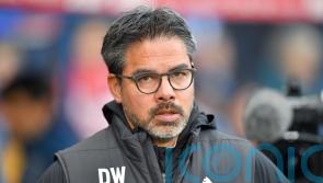 Norwich confirm appointment of David Wagner as club’s new head coach