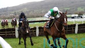 Hosie eyeing Cheltenham return for Rock My Way
