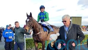 Appreciate It stakes Festival claim with stylish Naas verdict