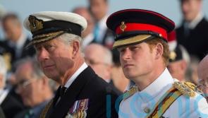 Charles told Harry &lsquo;I should have got you the help you needed years ago&rsquo;