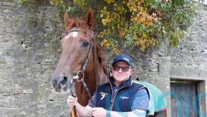 Beep Beep Burrow all set for Doncaster debut