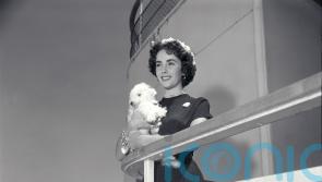 Mary McCartney to curate exhibition of photos from Cunard archives