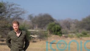 Harry opens up about panic attacks &ndash; why do they happen?