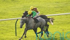 Buzz given Cheltenham entry as he continues on comeback trail