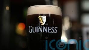 Irish pub owners frustrated as cost of pint of Guinness to rise by 12 cent