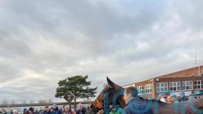 Guetapan Collonges expected to thrive for Warwick stamina test