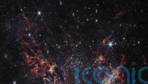 New image from James Webb telescope holds clues on how the first stars formed