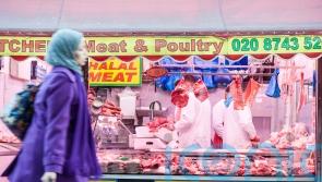 Halal and kosher meat labelling reforms under consideration, MPs told