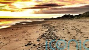 MPs urge pause in freeport dredging while marine life deaths are investigated