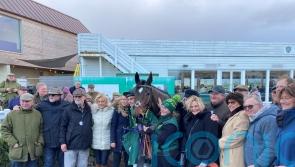 Bushypark back in business with North Yorkshire Grand National win