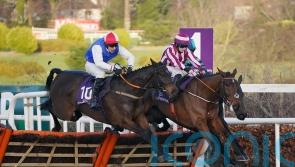 Byrnes hoping weather relents in time to get Green Glory to Kempton