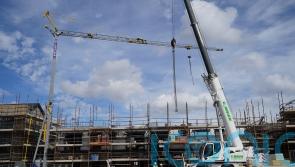 Number of HAP houses available to rent stood at 41