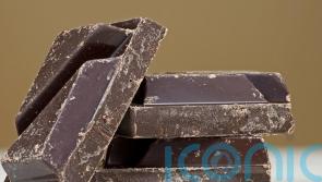 Revealed – why chocolate feels so good