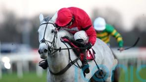Skelton full of hope for big run from Grey Dawning at Warwick