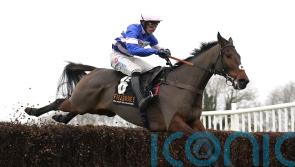 Pic D’Orhy chasing another big Saturday success for Nicholls