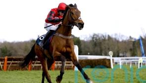 Lorcan Williams has plenty to look forward to on big day at Warwick
