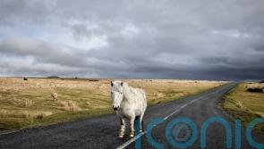 Dartmoor wild camping ruling ‘huge step backward’