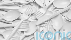Single-use plastic plates, trays and cutlery set to be banned from October