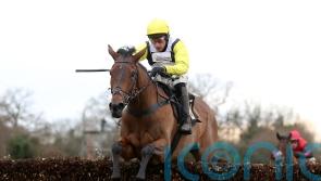 Galia Des Liteaux gallops to taking Warwick triumph