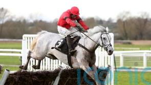 Grey Dawning takes step up in class in his stride