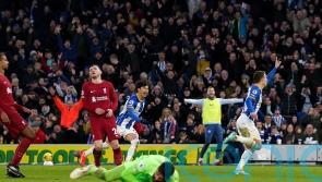 Brighton march above Liverpool in table with stunning home victory