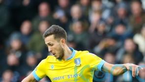 Will Vaulks rocket boost Sheffield Wednesday promotion bid